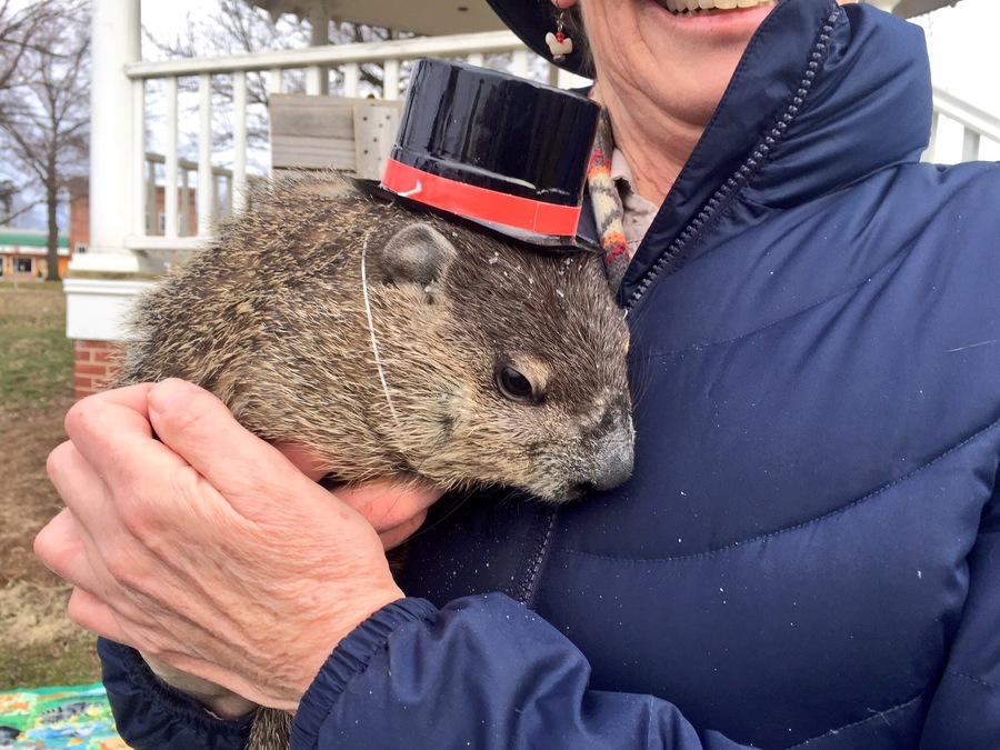 PHOTOS Grubby the Groundhog makes her prediction in Hope, Indiana V1